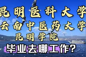 云南高校2:昆明医科大学，云南中医药大学，昆明学院就业解析视频封面