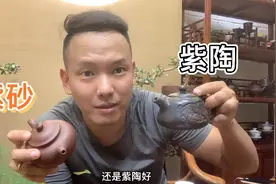 紫砂和紫陶哪种泡普洱茶好？小伙喝完11年的生茶，还是喜欢盖碗视频封面
