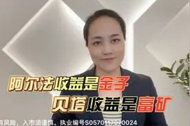 阿尔法收益是金子，贝塔收益是富矿视频封面