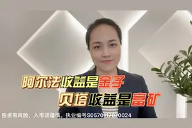阿尔法收益是金子，贝塔收益是富矿视频封面