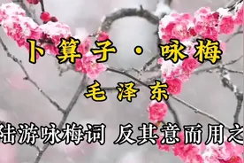 《卜算子•咏梅》）毛泽东  待到山花烂漫时，她在丛中笑。视频封面