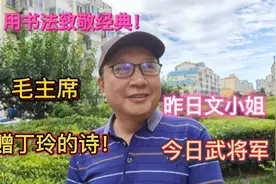 丁玲28岁入党，曾被软禁，后到陕北根据地，毛主席参加欢迎宴会。视频封面