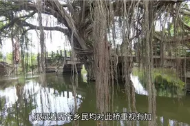 新联合浦桥，福州闽侯高新区南屿合浦村，景点解说版视频封面