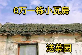 农家大院一层小平房，只要6万一栋，送菜园，环境又好，有水有电视频封面