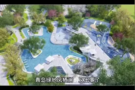 绿地凤栖澜玥又出事了，大批业主开车封堵小区！视频封面
