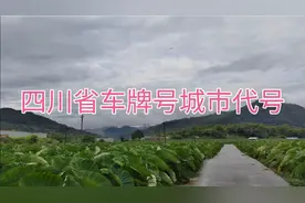 四川省车牌是怎么排的，车牌号代表地区哪里