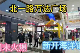 沈阳北一路万达广场周末火爆，新开的海洋馆挤爆了，全是人！视频封面