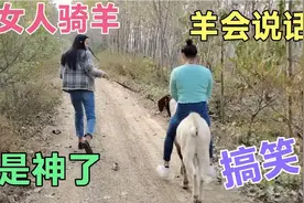 两个女人骑公羊，不料公羊竟然能给女子对话，真是一只神奇的羊视频封面