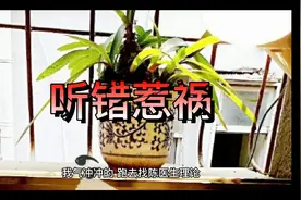 搞笑爆笑视频笑话《听错惹祸》视频封面