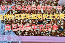 疫情期间在家生豆芽，乳腺癌多吃无害食物，自己动手丰衣足食安全视频封面