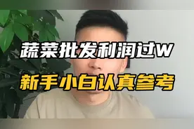 蔬菜批发利润过W，新手小白认真看完参考，对你有帮助