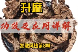升麻的功效及应用详解视频封面