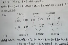 “董氏奇穴”原理篇:脏腑别通针法15视频封面