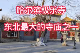 哈尔滨极乐寺，东北三省最大的寺庙之一，下面带大家去看看。视频封面