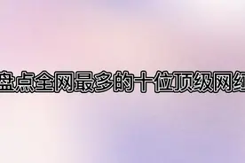 盘点全网粉丝最多的十大网红，有你喜欢的吗？视频封面