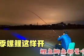 螺鲤2号很实用的一种开拉饵方法，专攻湖库野生鱼，四季通用。