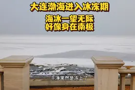 大连渤海海水冻成海冰一望无际。太壮观了。好像身在南极一样。