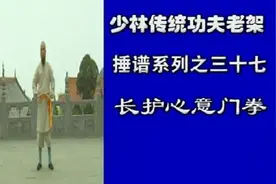 少林最高境界武术：心意门视频封面