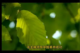 在中国革命长征中，支持张国焘南下的将士结局如何。视频封面