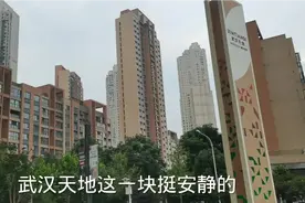 实拍武汉资深富人区，房价很高，逛完才知道这块房价为何这么贵视频封面