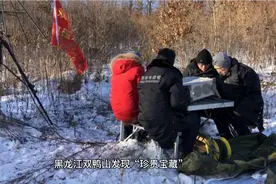 东北“火”了？黑龙江黑鸭山发现珍贵宝藏，外媒：中国缺啥来啥！视频封面