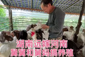 湖南舅妈放弃白领高薪，远嫁河南和舅舅建别墅搞养殖，生活羡慕人视频封面