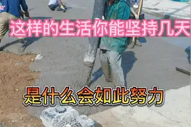 是什么让你如此努力，因为生活视频封面