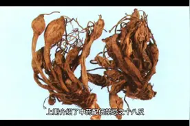 跟我学中医之一：跟我学中药系列2，中药的配伍禁忌之“十九畏”视频封面