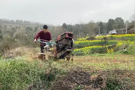 年轻小伙不去打工选择留在家，农忙时帮着父母干农活，也是好帮手视频封面