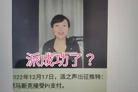 数字Pi，你同意吗？真的成功了还是又一张大饼？视频封面