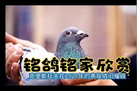 世界大铭家克里斯托夫！看看他都有哪些赛季！视频封面