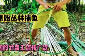 原始丛林用中国古代工艺制作捕鱼工具，不是一般的强，点赞关注视频封面
