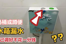 今天才知道，马桶或蹲便水箱漏水，自己徒手调好不用花一分钱视频封面