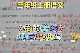 三上语文《花的学校》课后题讲解，想象力是未来的核心竞争力！