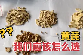 贰蒙来告诉你们一个小技巧，怎样才能辨别中药的真假和怎么挑选？视频封面