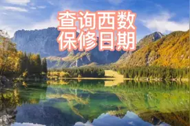 如何查询西部数据硬盘的保修期，用以判断硬盘的真假标签。视频封面