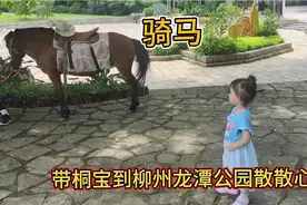 本以为桐宝调皮她敢骑马，结果一到马跟前，没想到她反应太怂了视频封面