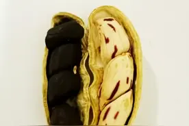 云南黑花生视频封面
