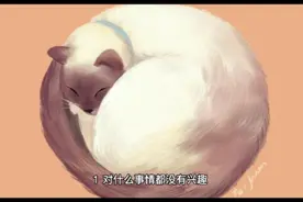 23岁女性结婚，婚前却变的十分焦虑该怎么办视频封面