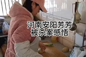 河南安阳芳芳被杀案感悟视频封面