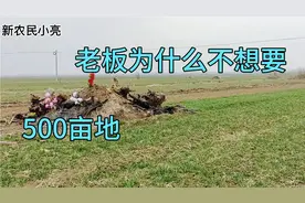 500亩土地对外承包，地里有什么老板还不想包！农民小亮告诉你视频封面