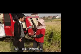 河南省周口市沈丘县麦田铺红地毯事件视频封面