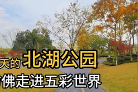 雪山下的公园城市——成都北湖公园，四季不同的景色，简直美哭了视频封面