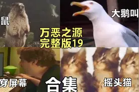 【万恶之源】第十九弹，原来土拨鼠叫声是这样的，你听错了多少年视频封面