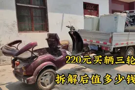河南小霞下乡收废品，220元买辆三轮摩托车，拆解后挣多少钱视频封面