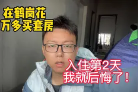 在鹤岗花1万多买了套毛坯房，入住第2天，我就后悔了！视频封面