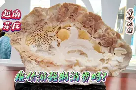 999元越南芽庄廉价游，强制消费吗？廉价购物游好吗？视频封面