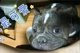恶霸犯错他还挺委屈 说了他两句还不乐意了 然后就开始飙演技视频封面