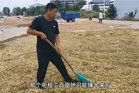 租300亩地种大豆1年赚10万元，这里面有风险，听听农村小哥怎么说视频封面