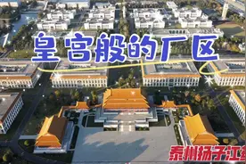 航拍泰州扬子江药业皇宫建筑群，首富家的工厂真的像极了北京故宫视频封面